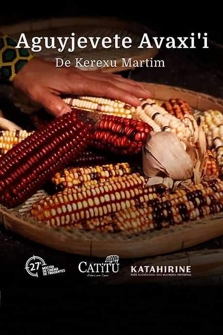 This documentary explores the revival of traditional maize cultivation by the Guarani M’bya people in the Kalipety village. The area had suffered from soil degradation due to decades of eucalyptus farming. Corn, revered as a sacred food gifted by divine beings, is central to rituals and blessings throughout the planting and harvesting cycles. Villagers gather to celebrate the harvest, believing that consuming the corn maintains the balance and vitality of human life, mirroring the power of the deities.